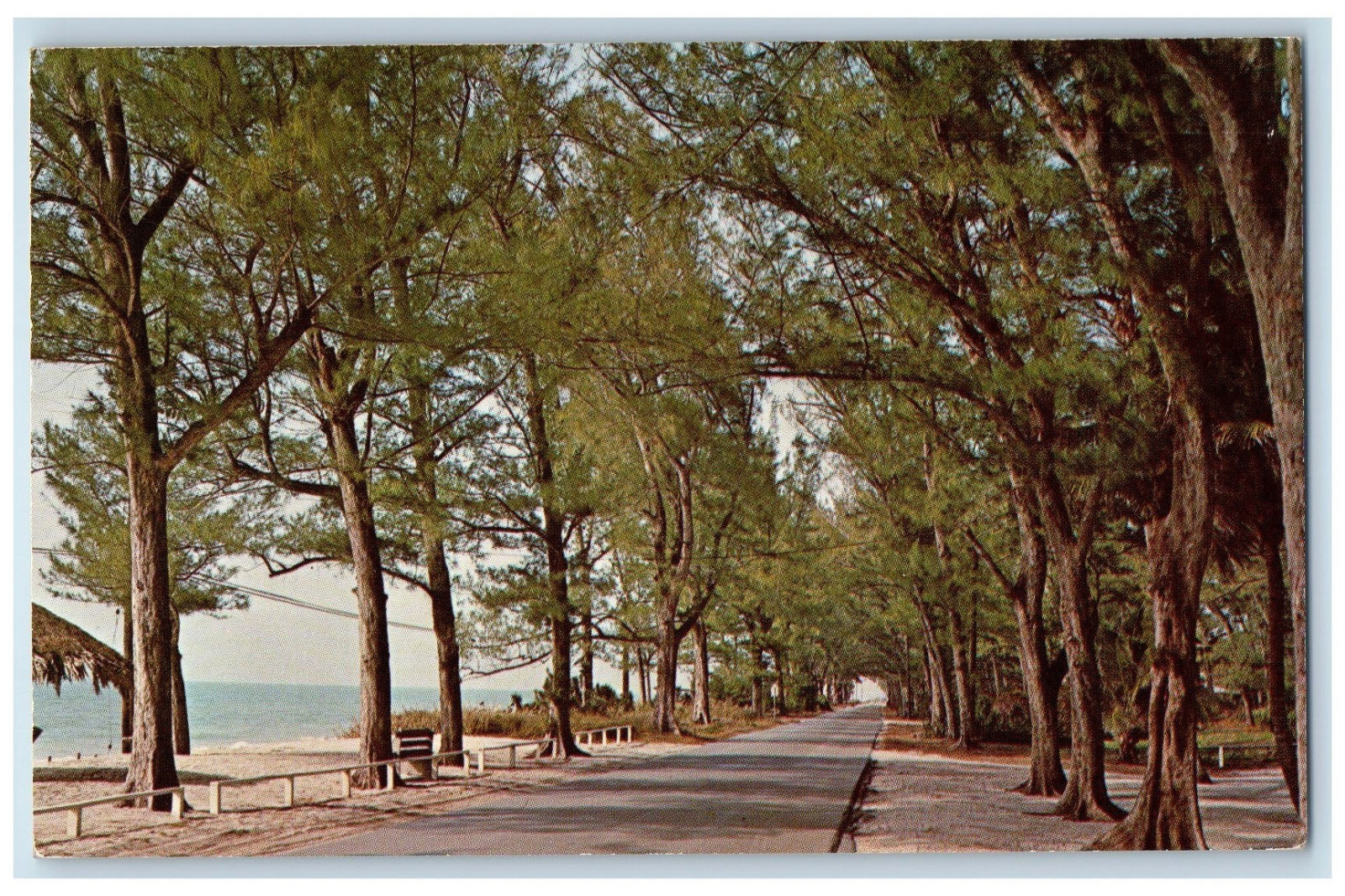 c1950's Shady Gulf Drive on Tropical Captiva Island Florida FL Postcard