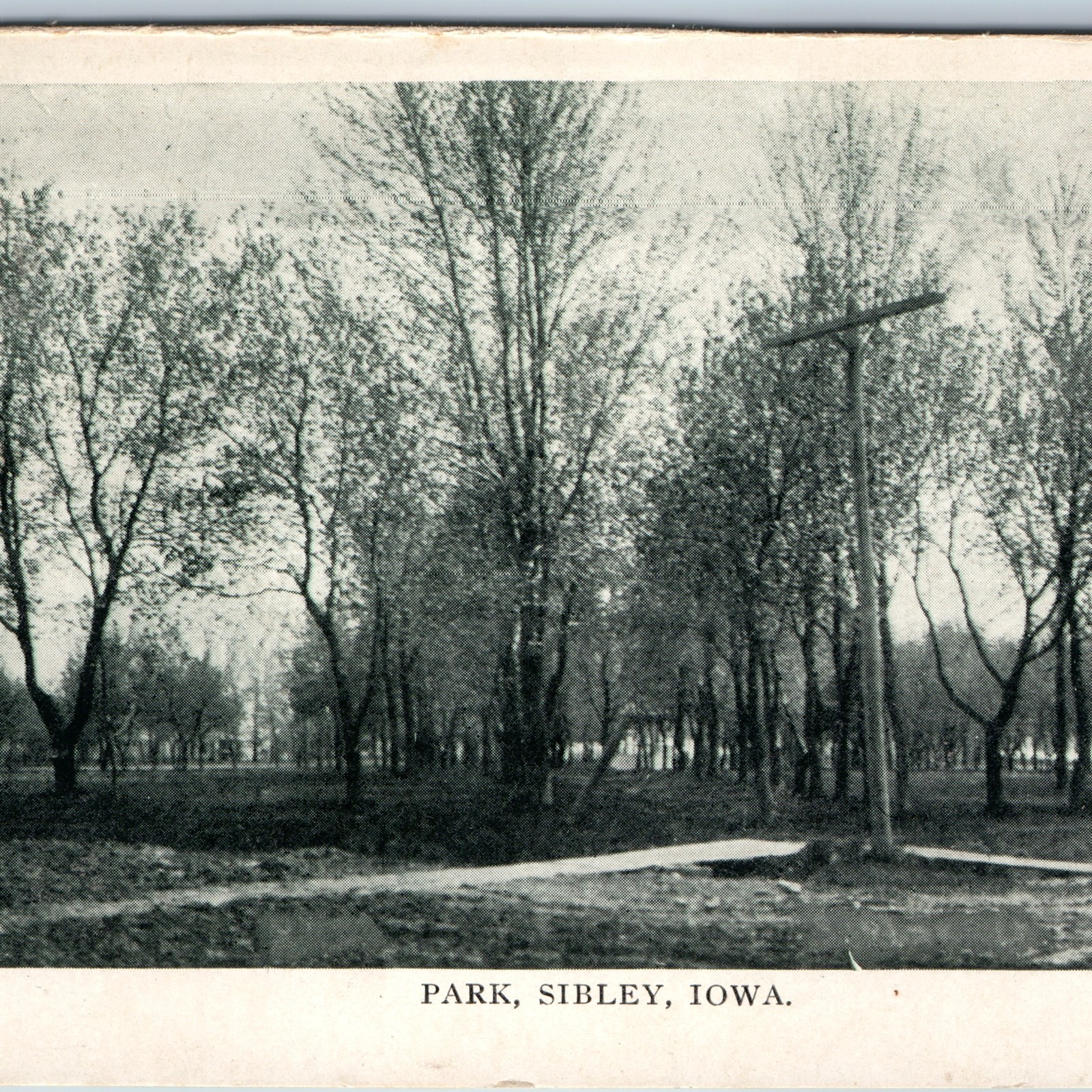 c1910s Park, Sibley, IA Postcard Public View Telegraph Pole Sidewalk Litho DB c1910s Park, Sibley, IA Postcard Public View Telegraph Pole Sidewalk Litho DB