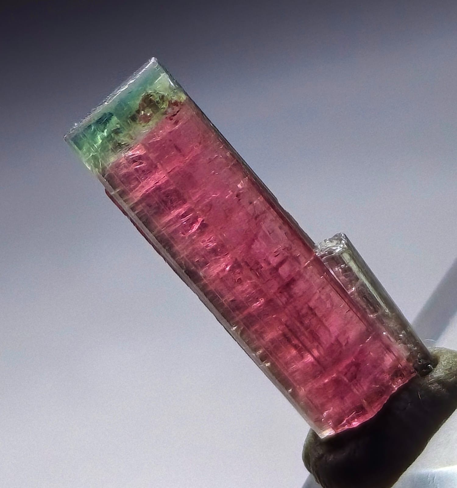 Watermelon Tourmaline Crystal Green Cap Natural Gemstone Mineral Crystals