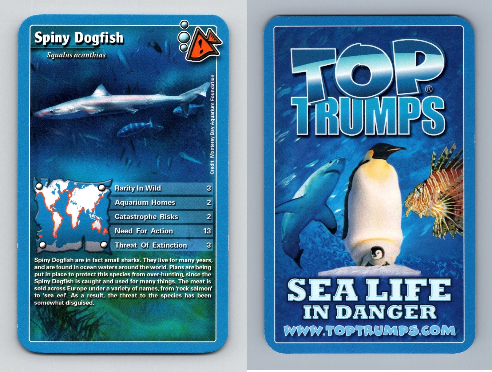 Spiny Dogfish - Sea Life In Danger 2008 Top Trumps Card