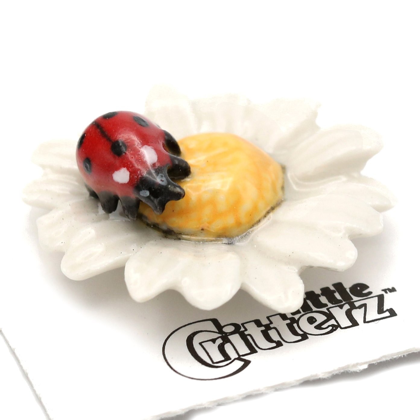 Little Critterz Ladybug on Flower 