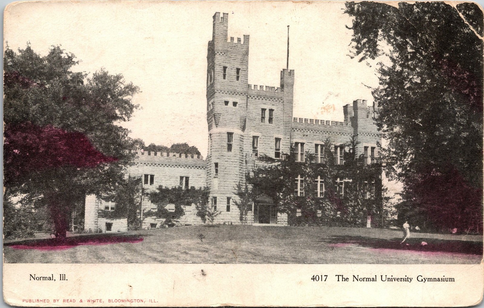 Normal IL Normal University Gymnasium Postcard unused 1900s/10s (undivided)
