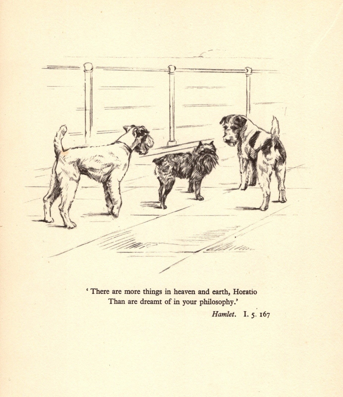 Vintage Fox Terrier & Brussels Griffon Print Shakespeare Hamlet Quote 7016a