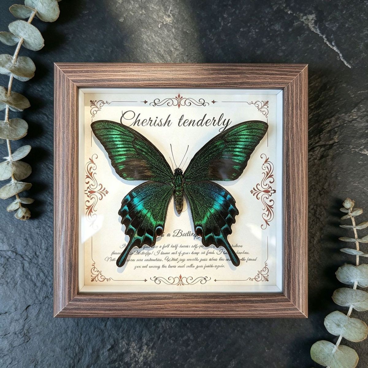 Real Green Swallowtail Butterfly Taxidermy Wooden Frame Vintage Home Decor Gift