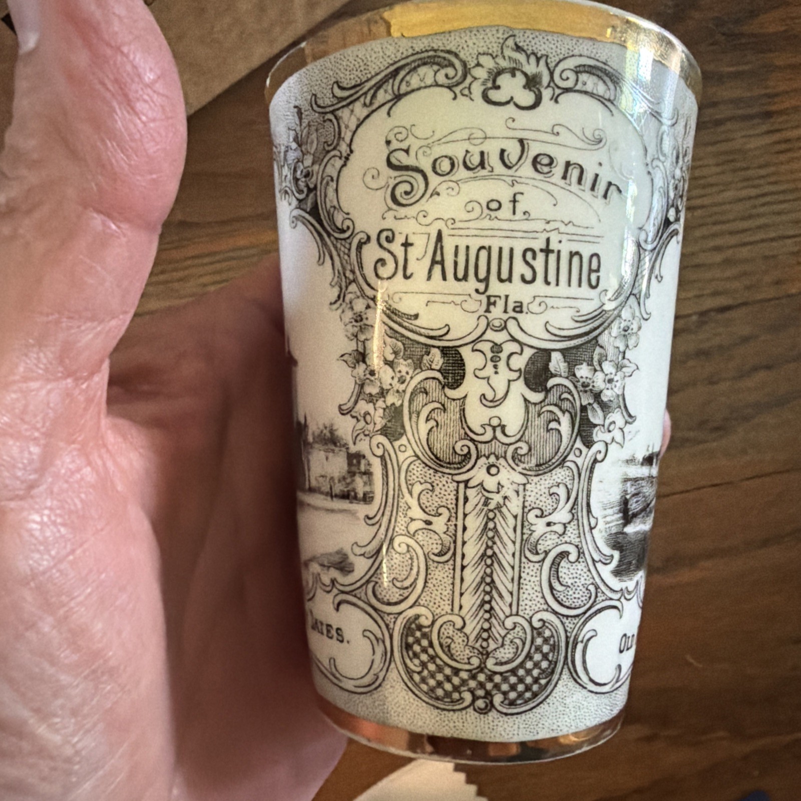Victoria Carlsbad Austria Souvenir of St Augustine, Fla Transferware Cup Tumbler