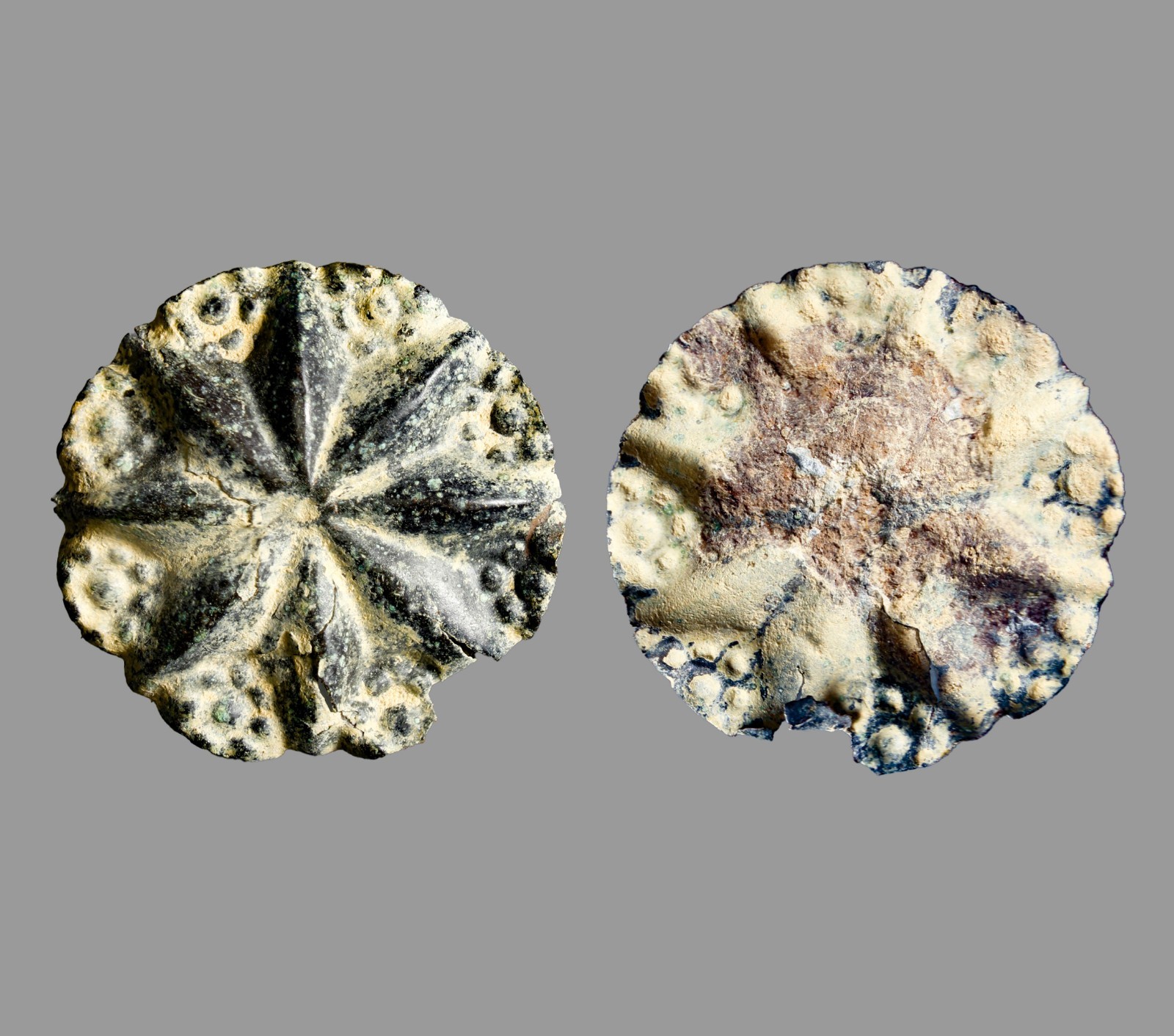 Crusader Kingdom Jerusalem Bronze Starburst Rosette Applique 25mm c. 1100 AD COA