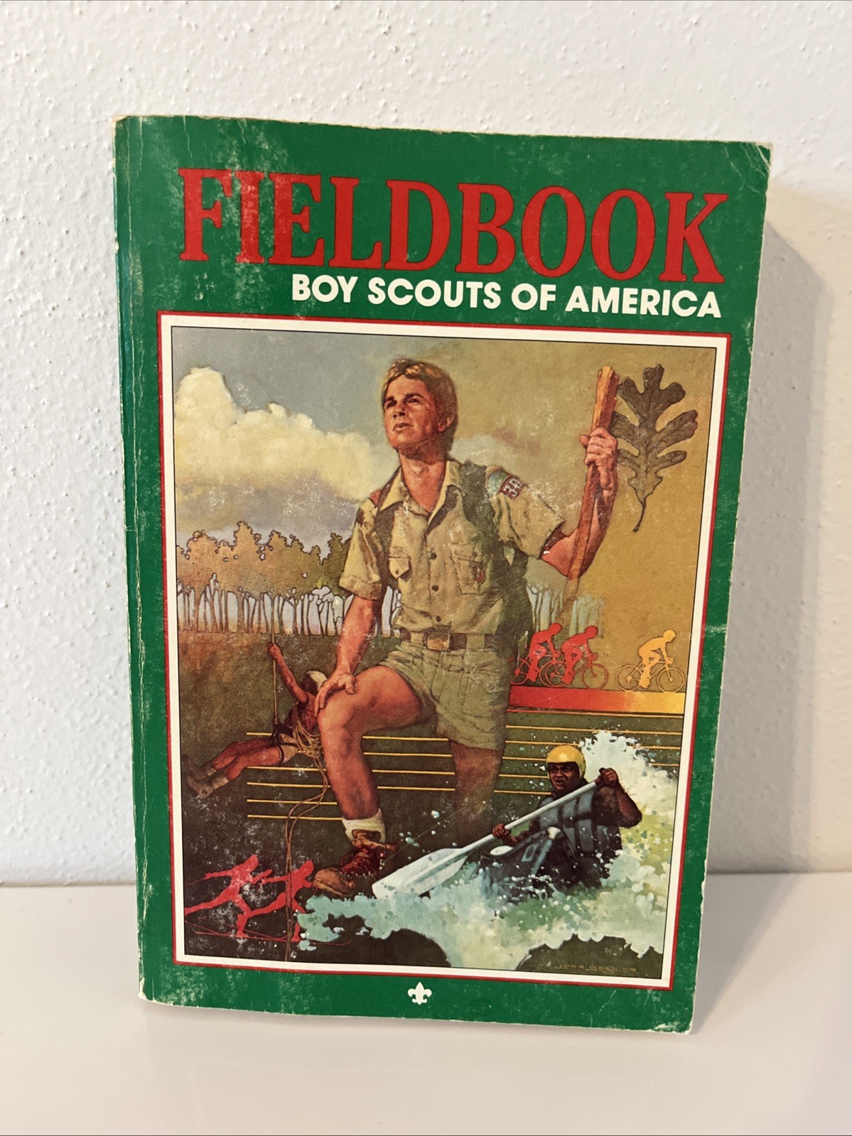 Boy Scouts Of America 1984 Fieldbook