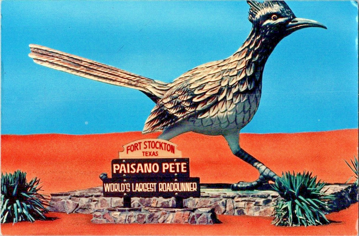 Fort Stockton Texas , worlds largest roadrunner postcard a88
