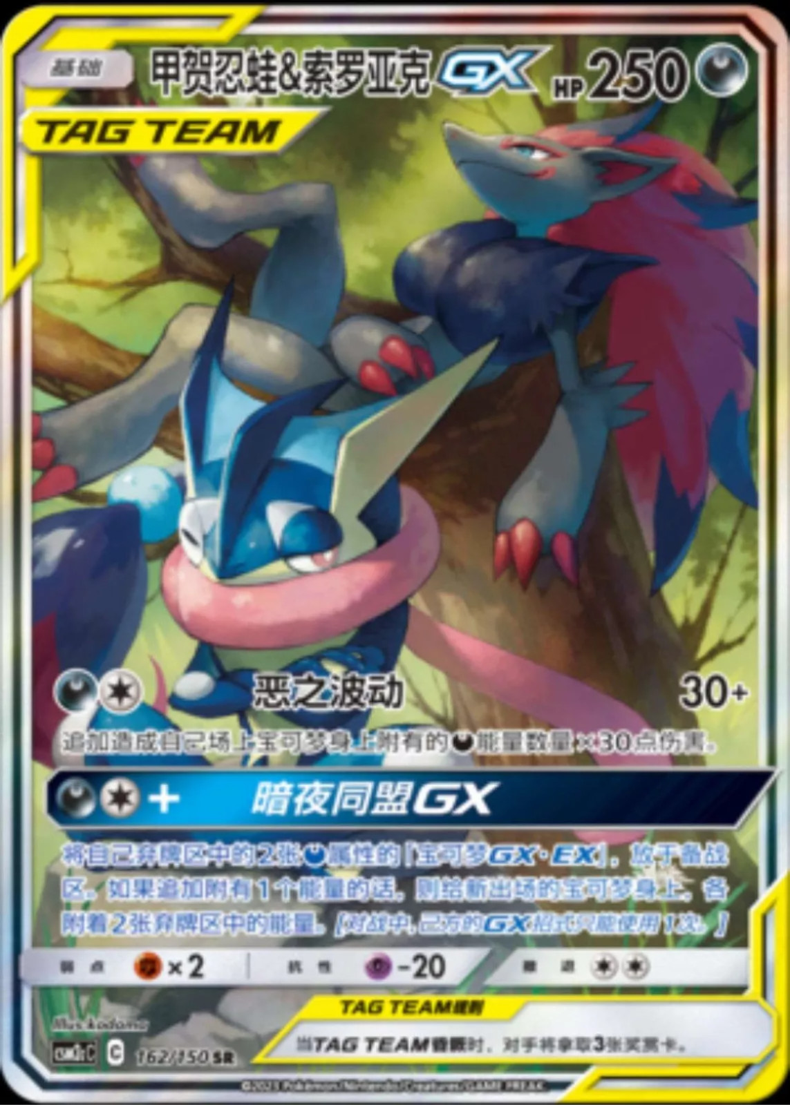 Pokemon TCG Chinese Quajutsu & Zoroark GX SR CSM2cC-162 TAG TEAM NM