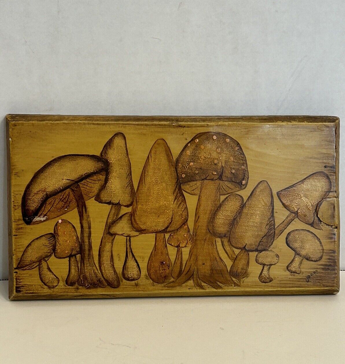 Vintage MCM Mushroom Tole  Painting Wooden Wall Plaque 11” x 6” Signed 1970's