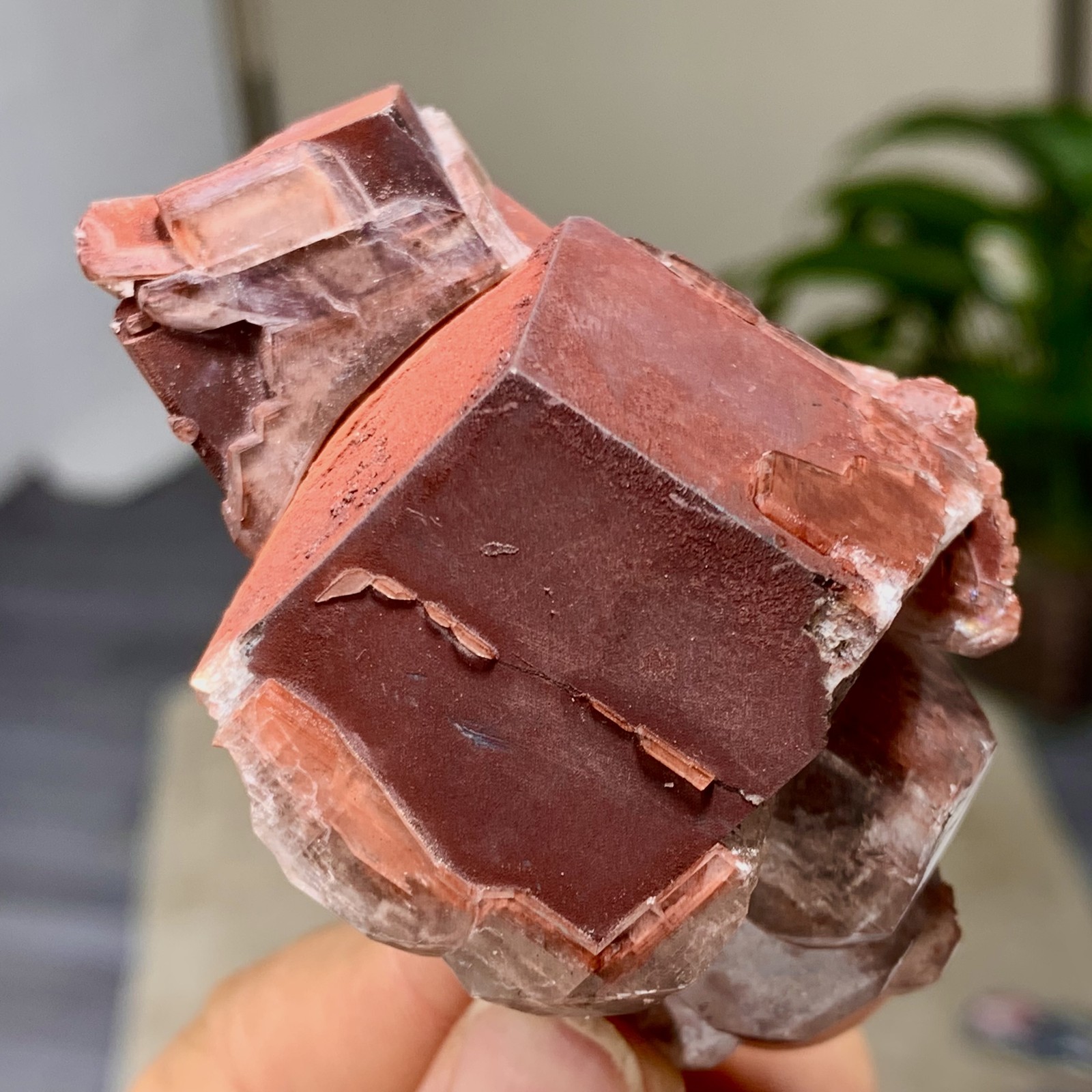 94G Rare Natural Chocolate Calcite Specimen cluster rough mineral sample
