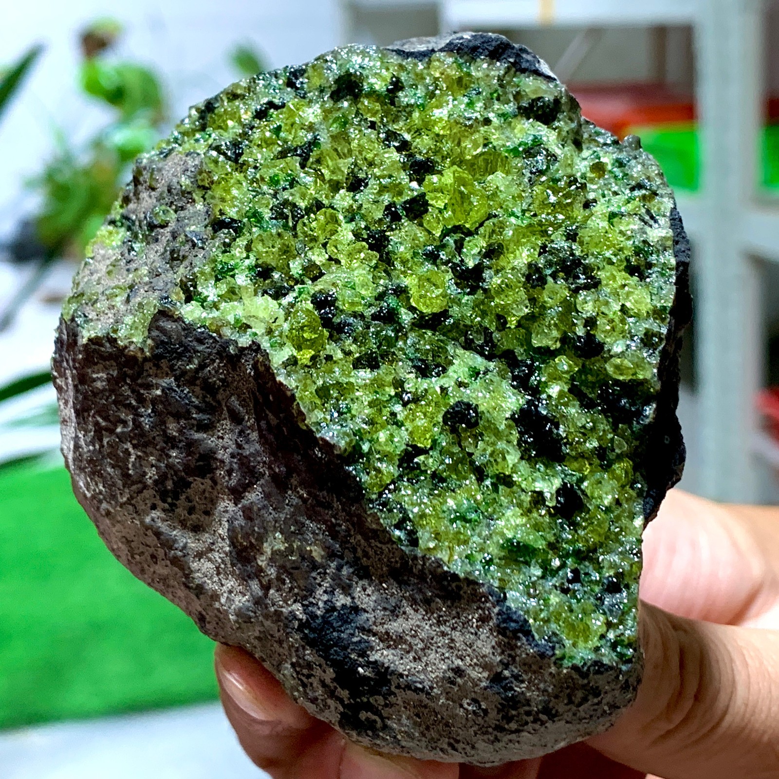 1.1LB Natural and rare beautiful museum grade olive green olivine crystal