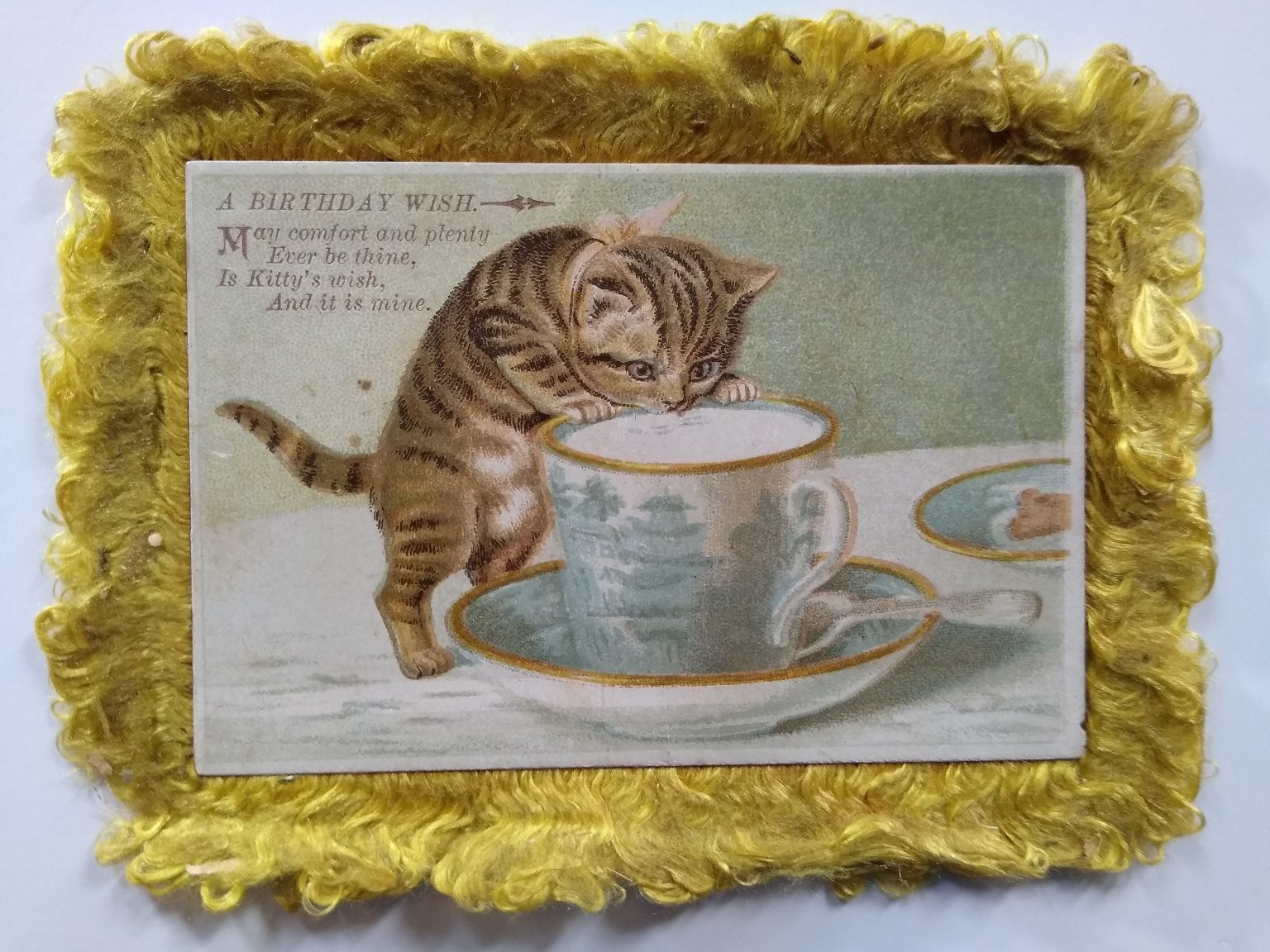 Victorian Birthday Kitten Trade Card Cute Cat Top Hat Teacup Silk Fringe Antique Victorian Birthday Kitten Trade Card Cute Cat Top Hat Teacup Silk Fringe Antique