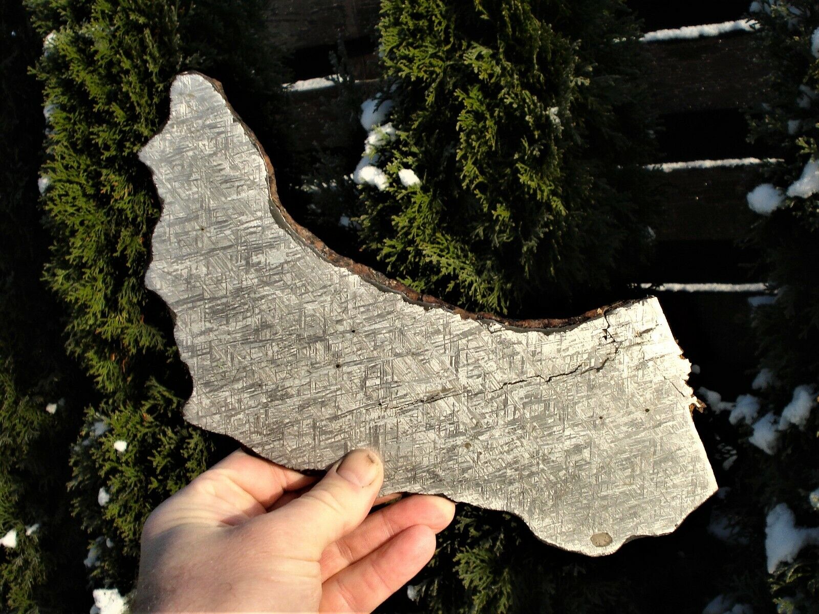  Meteorite iron, finest octahedrite TURGUT, Turkey, etched complete slice 798 g