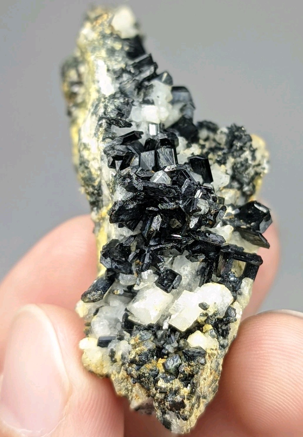 Rare Allanite-(Ce) Crystals on matrix with Melanite Garnet, Sphene & Albite - Pk