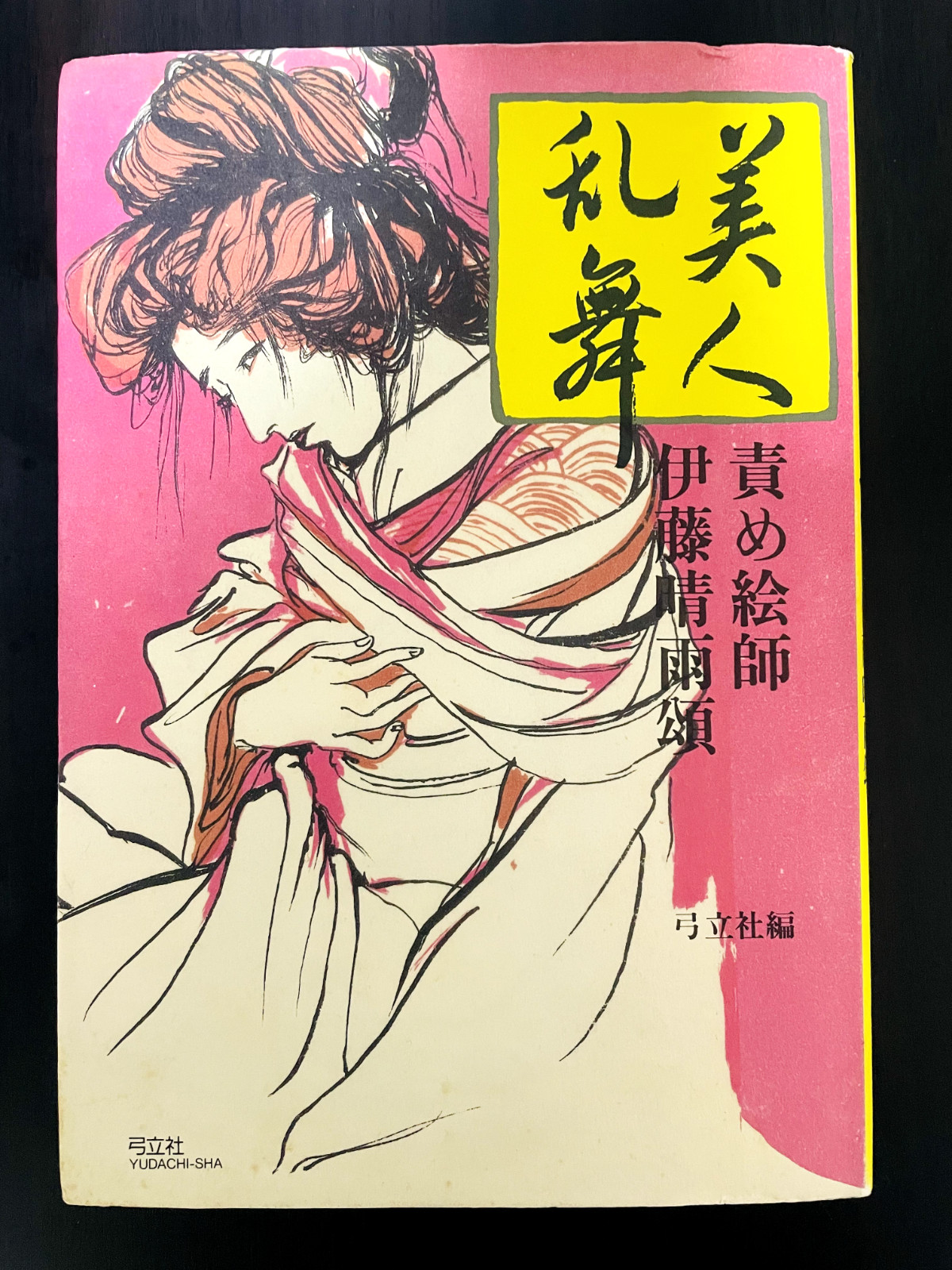 Bijinranbu Art Book by SEIU ITO Kinbaku Art Illust Bondage IN HAND Japan