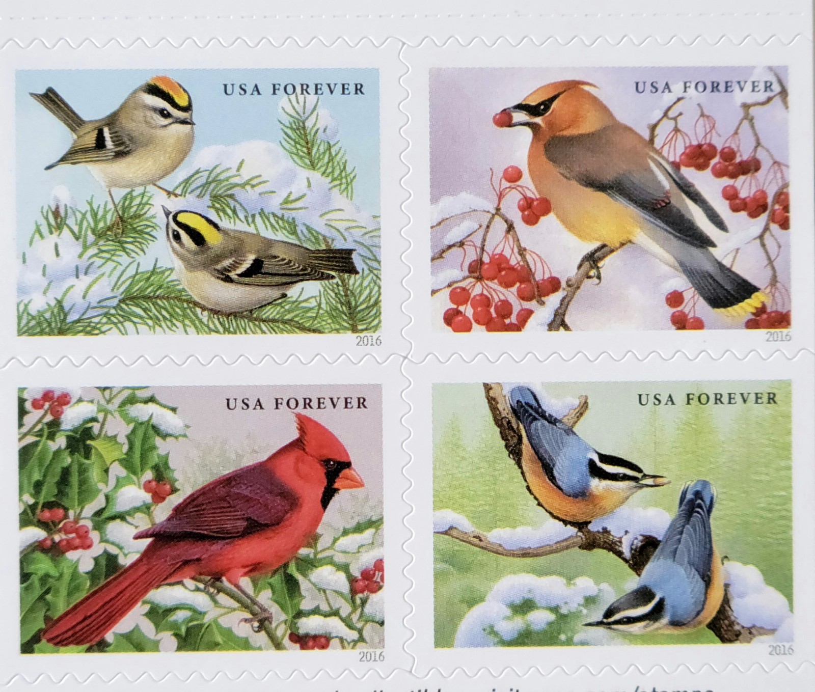 🐦 USPS SHEET OF 20 FIRST CLASS LETTER 