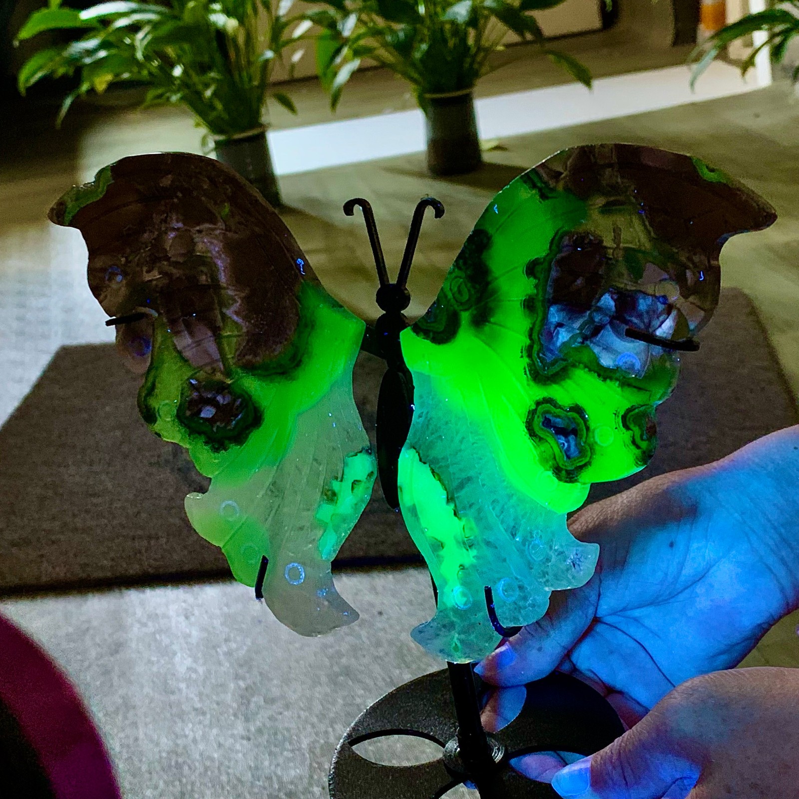 531G Natural volcanic rock agate butterfly crystal mineral carving