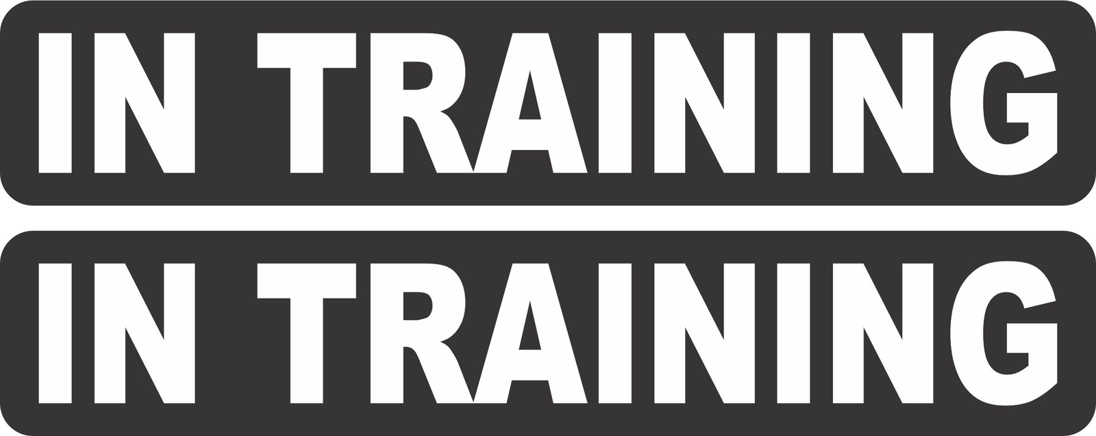 StickerTalk In Training Vinyl Sticker Sheet, 8 inches x 1.5 inches