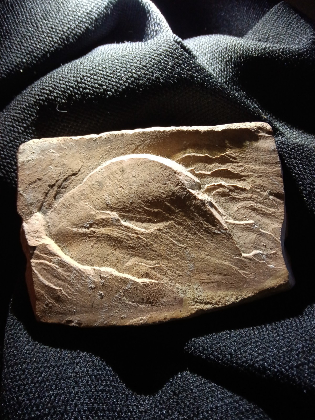 Authentic Museum Quality Adena Stone Tablet Extremely Rare Native Artwork