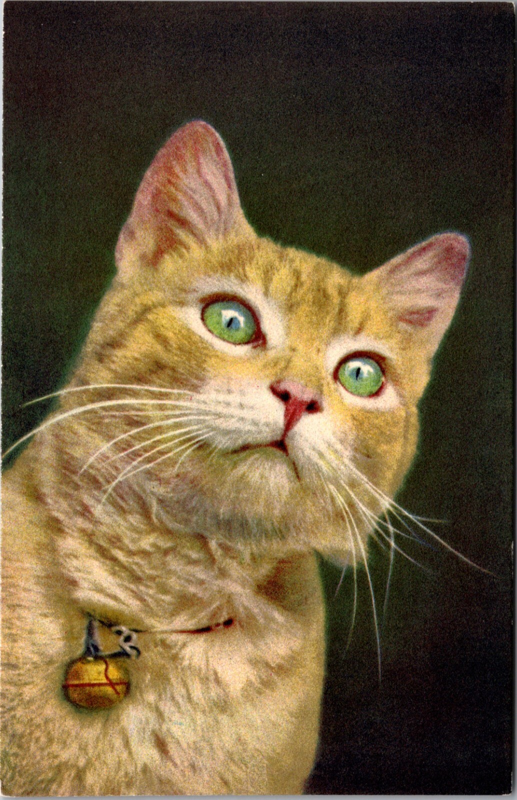 Photo Postcard Curious Ginger Red Orange Tabby Cat Green Eyes Collar & Bell
