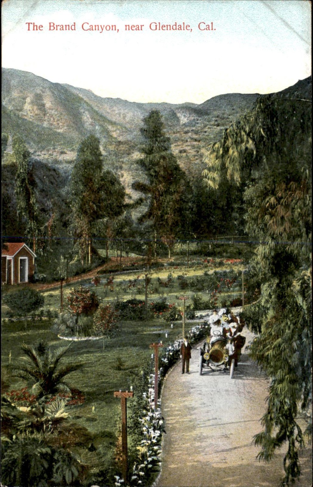 Glendale California CA Brand Canyon M. Rieder c1900s-10s Vintage Postcard