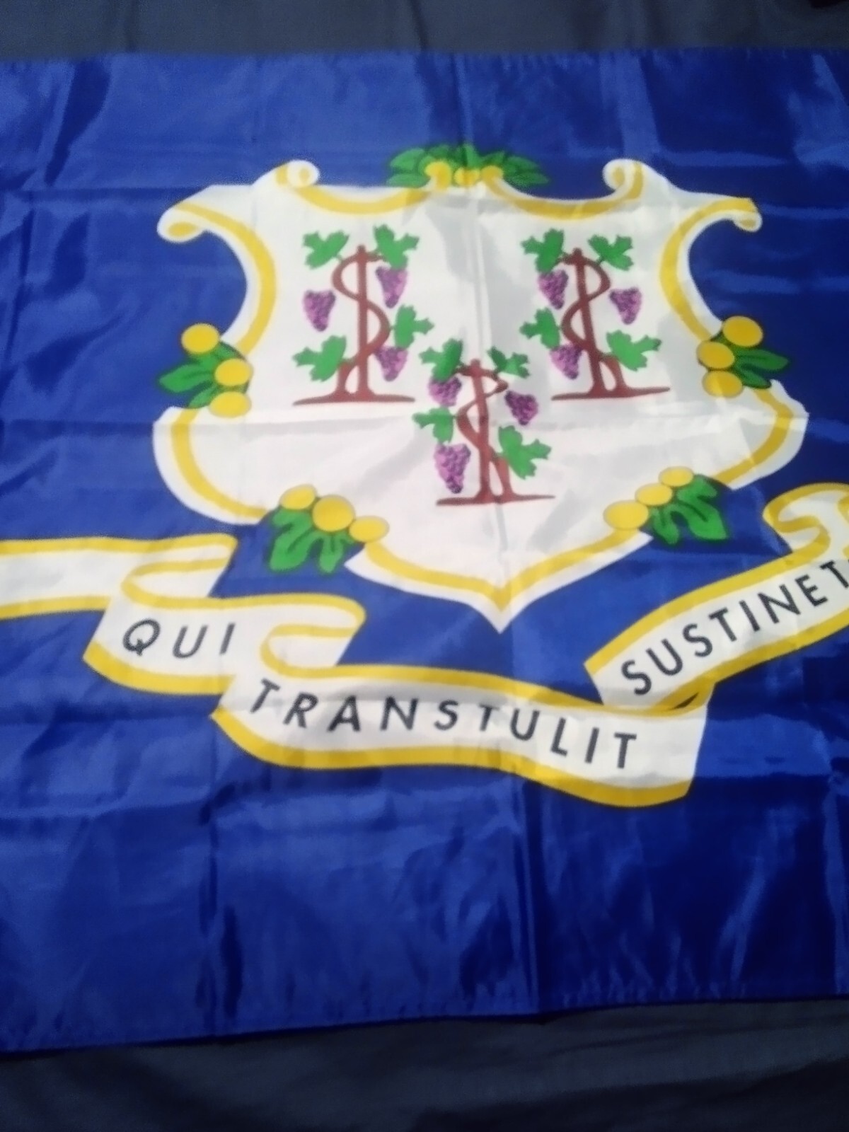 Connecticut State Flag Connecticut State Flag