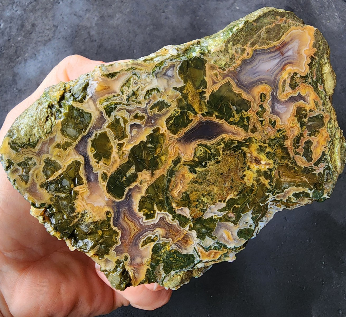 15.76 oz (447 gr) Green Limb Cast, Yellow Limb Cast, Petrified Wood Limb Casts