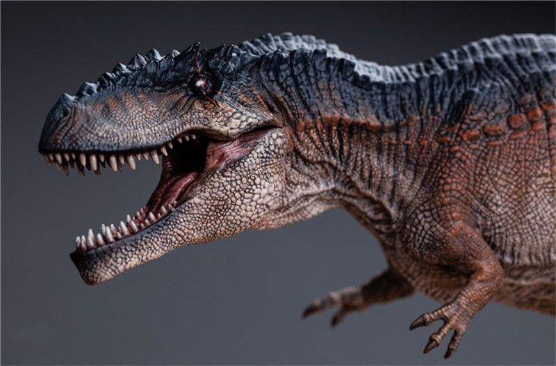 W-Dragon 1/35 Giganotosaurus Dinosaur Animal Figure Display Model Statue Boxed W-Dragon 1/35 Giganotosaurus Dinosaur Animal Figure Display Model Statue Boxed