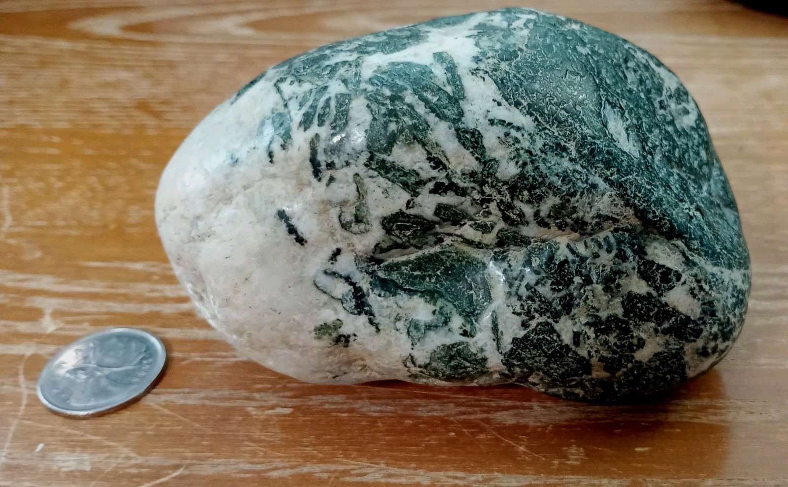Vancouver Island Rare Dallasite Hand Polished Specimen BC Semiprecious Gemstone Vancouver Island Rare Dallasite Hand Polished Specimen BC Semiprecious Gemstone