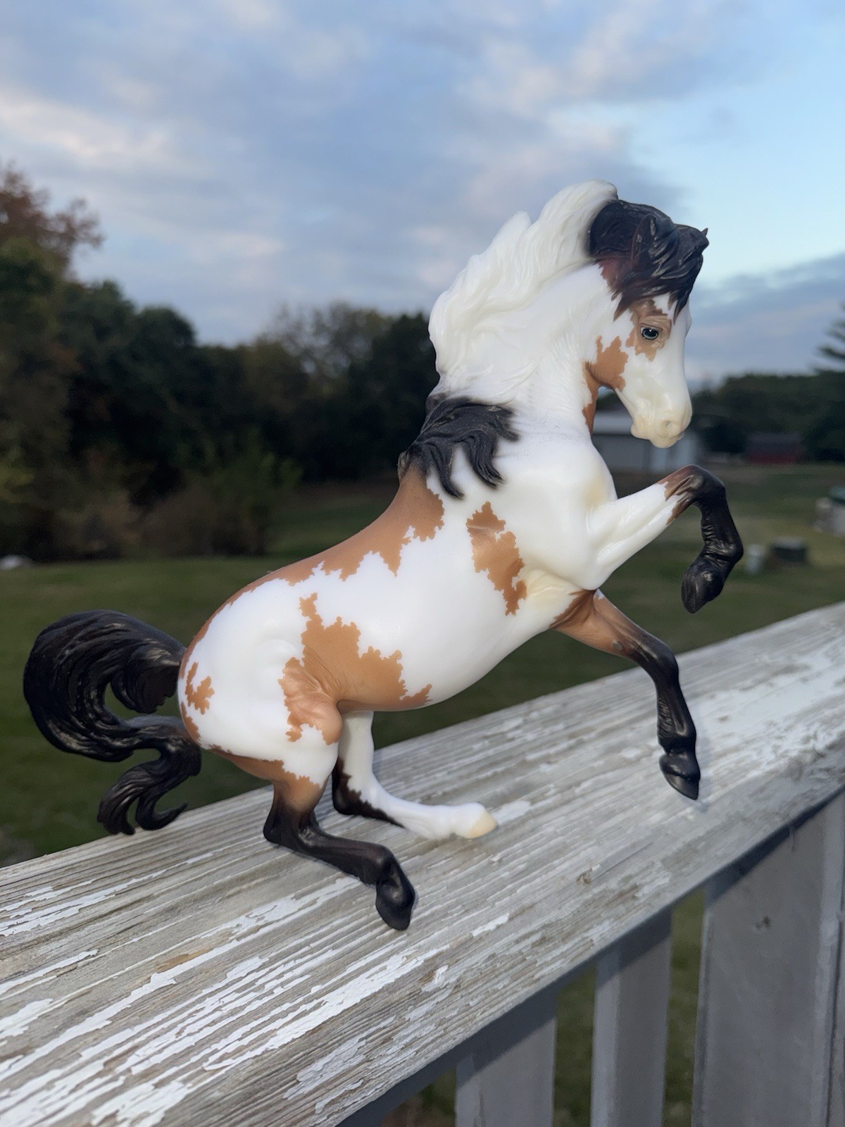 Breyer BreyerFest 2025 Get This Party Started Buckskin Variation