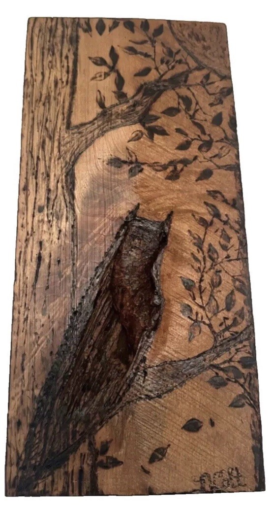 Rare Vtg Folk Art Hand Carved Wood OWL Crescent Moon Panel Mural Wall Plaque Rare Vtg Folk Art Hand Carved Wood OWL Crescent Moon Panel Mural Wall Plaque