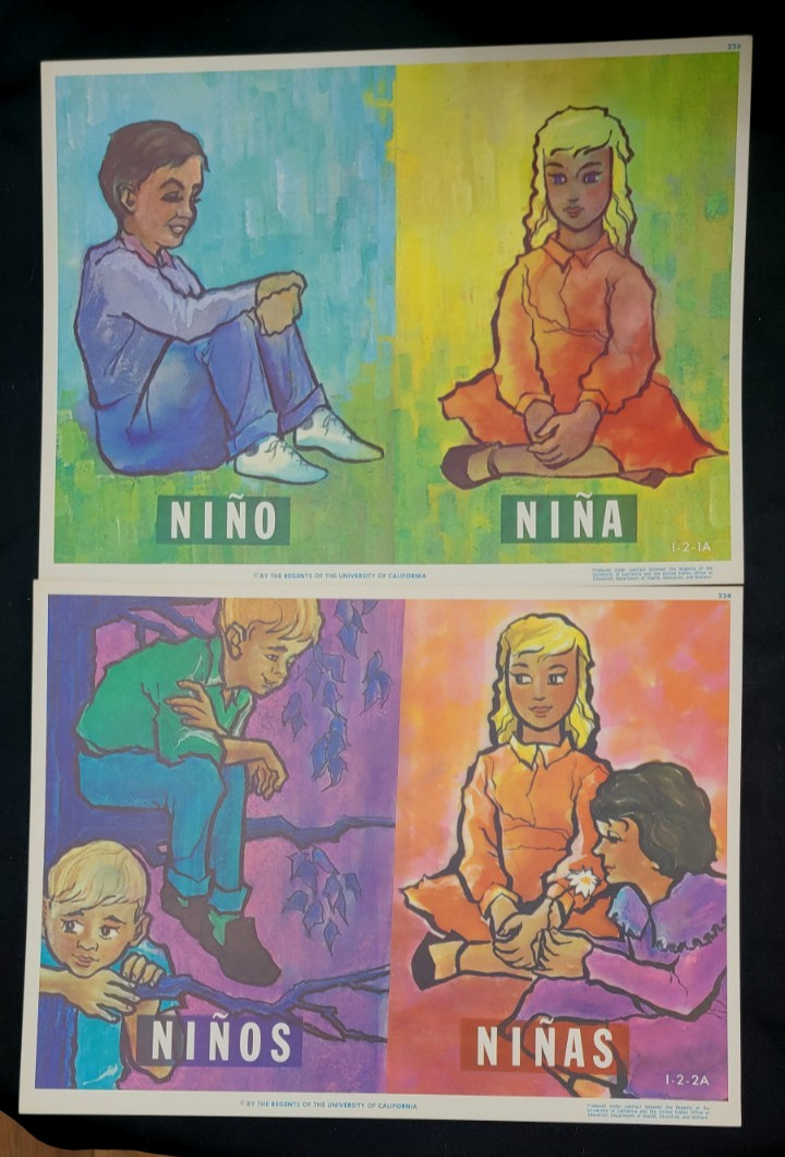 RARE VTG MCM Spanish Ed Modern Art Posters Regents of University CA 223/24