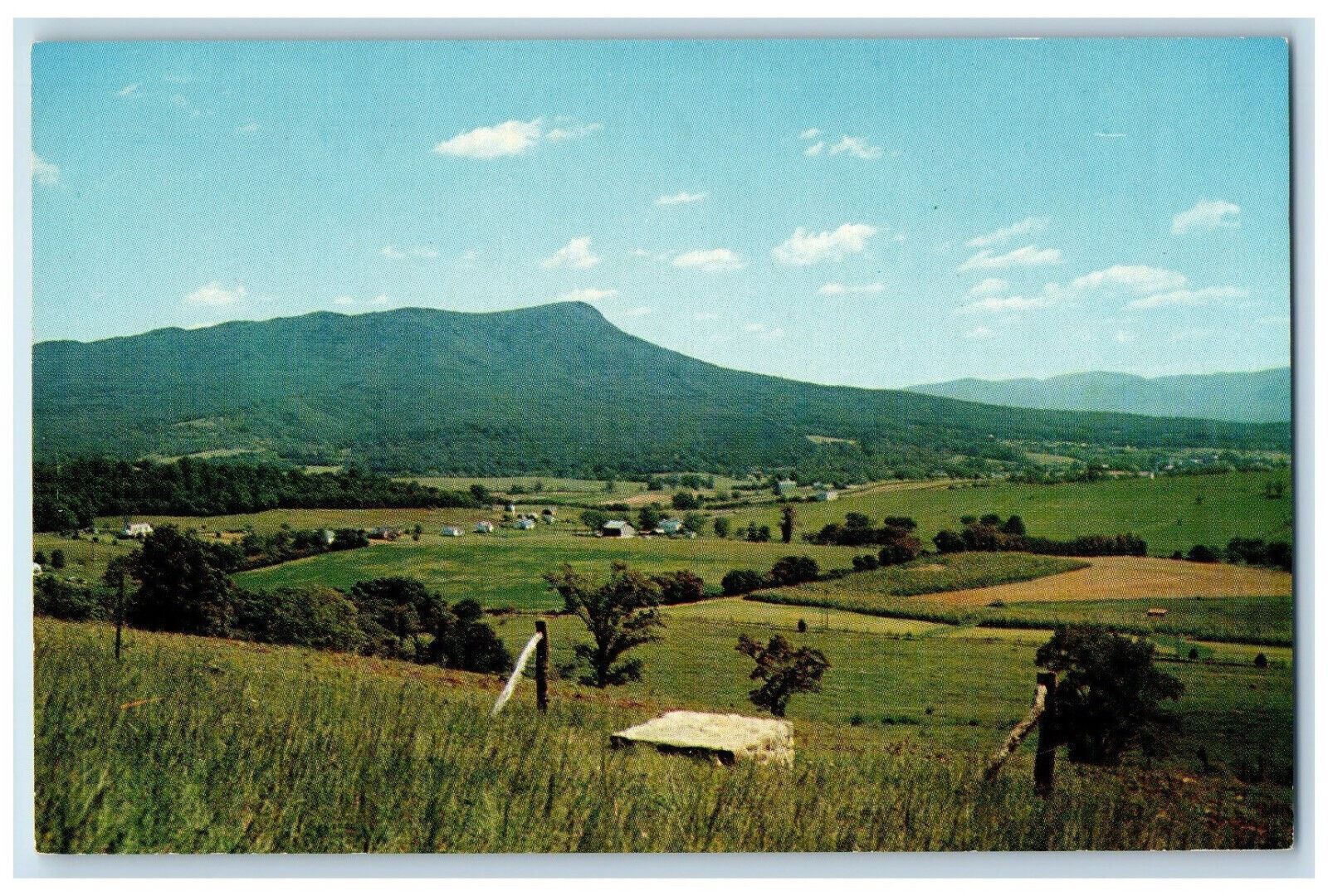 c1950s Massanutten Peak & Valley Shenandoah Valley Virginia VA Unposted Postcard