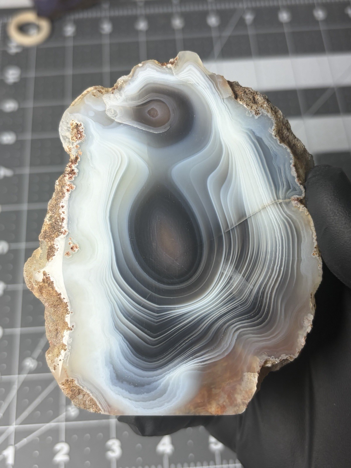 Beautiful Botswana Agate Free Form “penguin” Banding