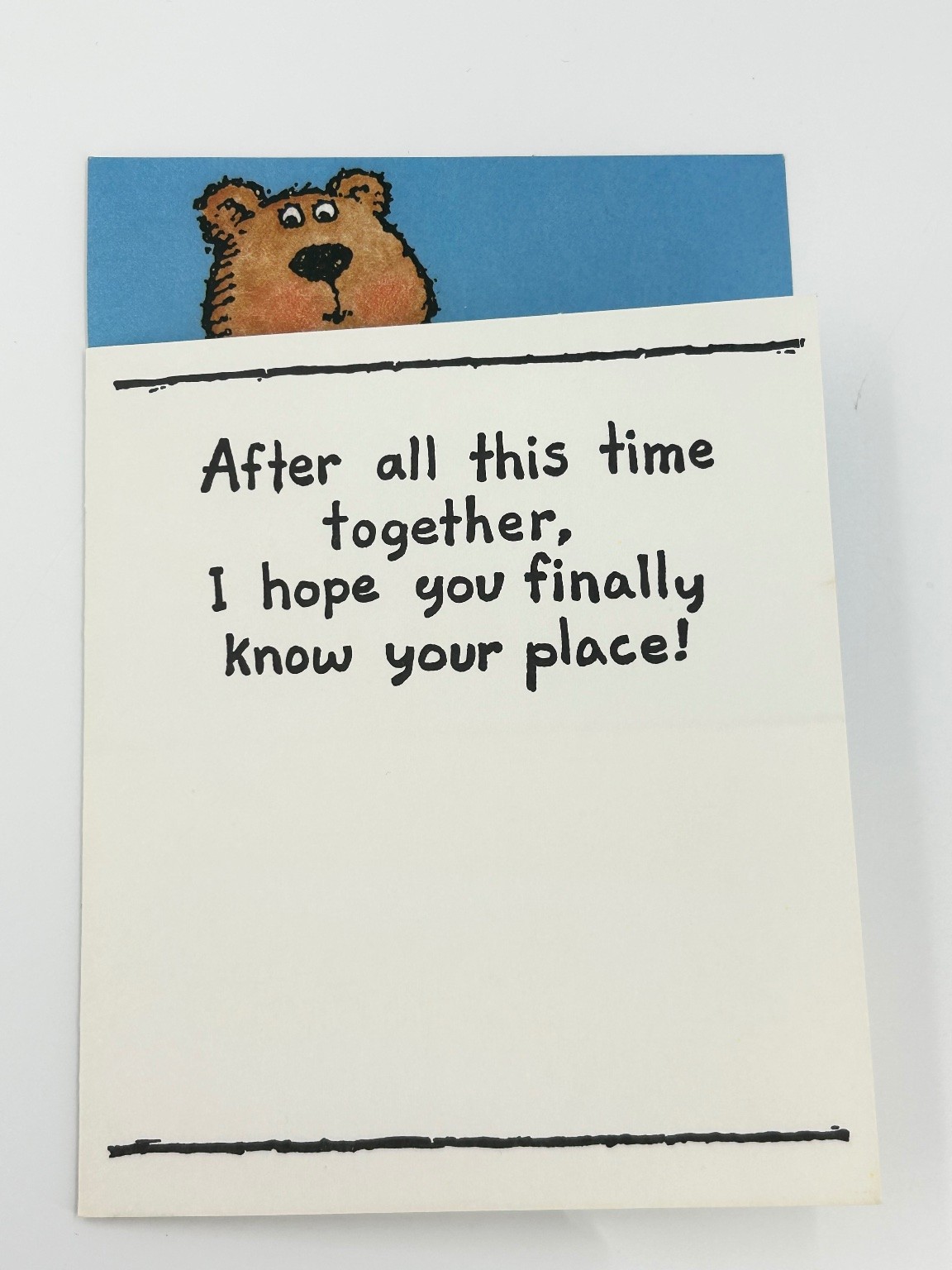 Vintage Shoebox Greetings Bear Funny Anniversary Card Hallmark \
