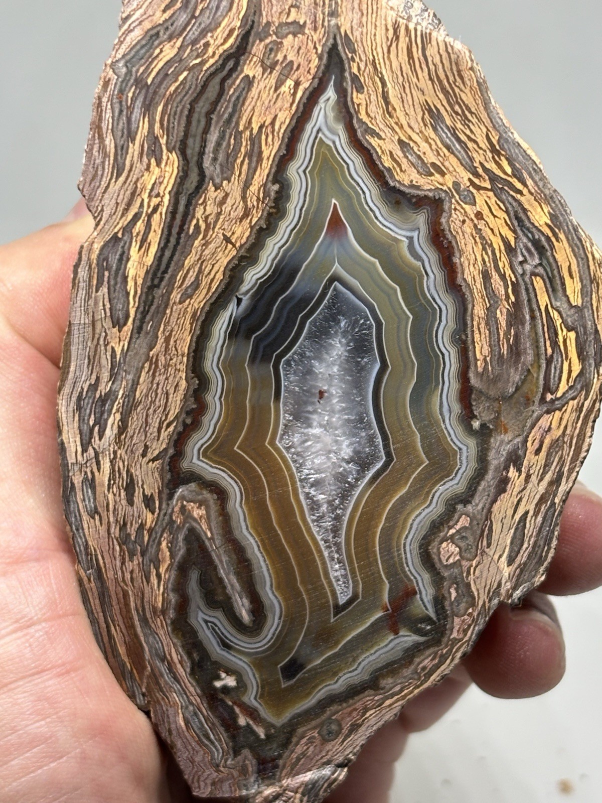 490g Rare Petrified Wood Agate Raw Specimen Ankara Turkey Origin