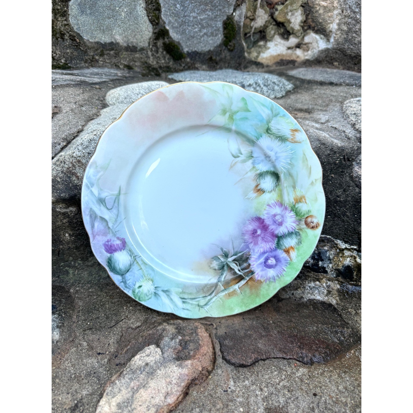 Antique C.T. Germany Hand Painted Thistle Porcelain Plate Scalloped Gold Rim 9