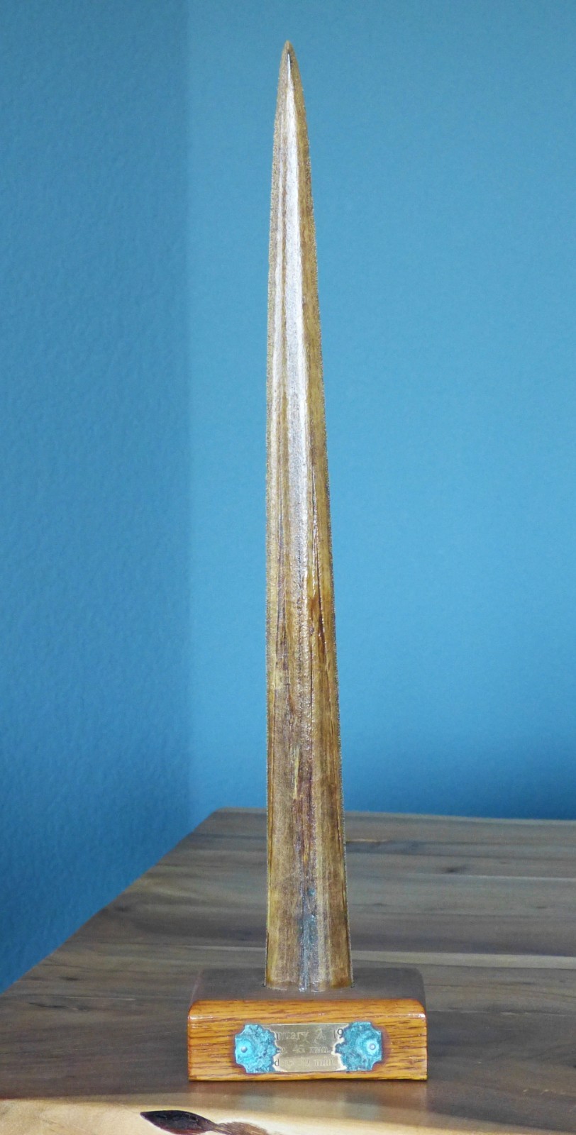 Vintage Large Black Marlin Bill mounted trophy, 21 3/4” Vintage Large Black Marlin Bill mounted trophy, 21 3/4”