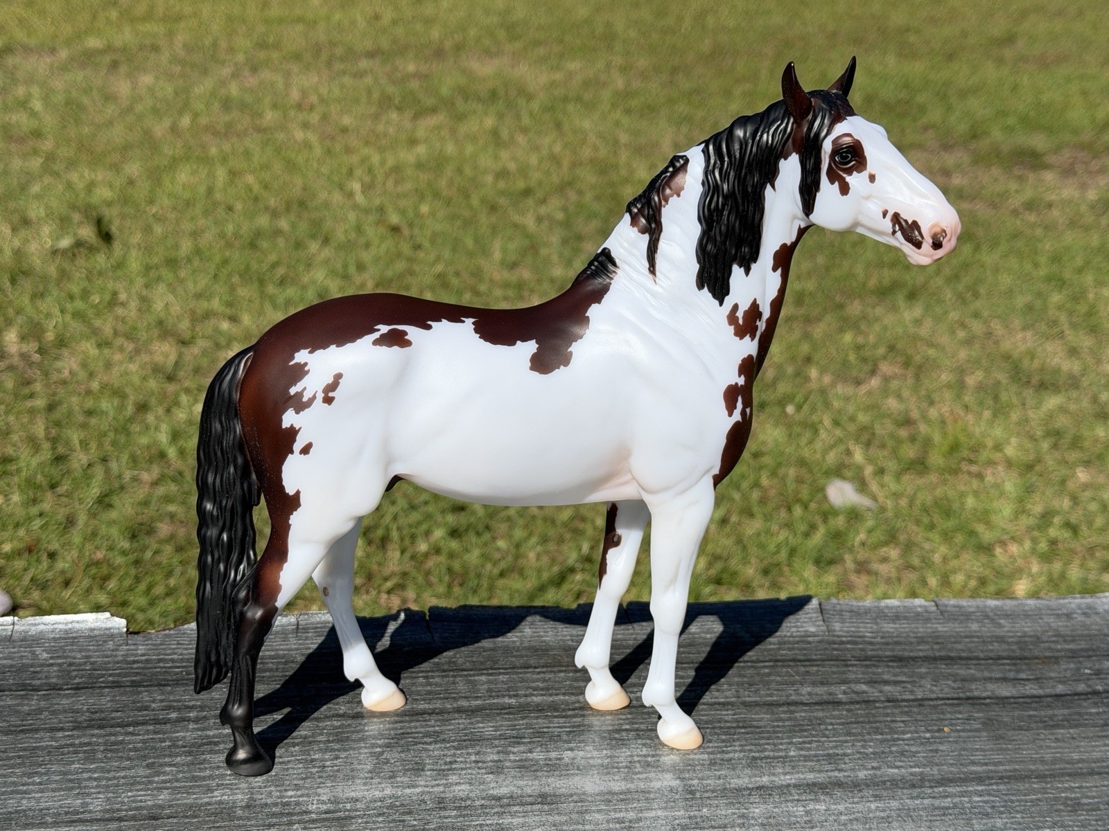 Breyer Breyerfest 2026 Midnattssol SR Pinto Murgese Cosimo Special Run