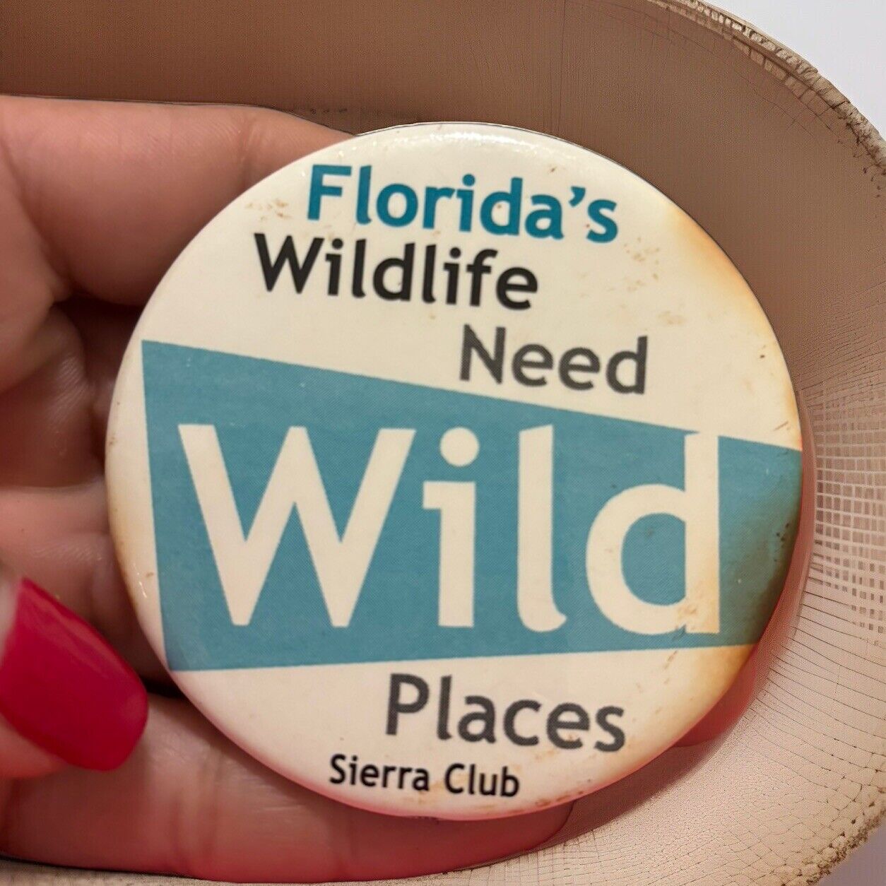 Sierra club “Florida Wildlife need Wild Places Vintage  Pin