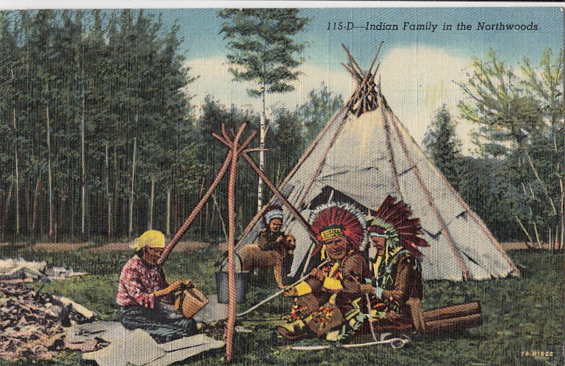  Postcard Native American Indian Family in Northwoods