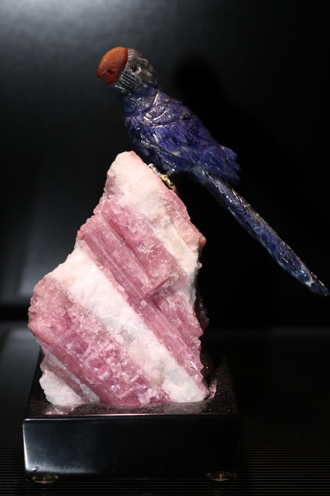 Peter Muller Hand Carved Sodalite Macaw on Pink Tourmaline Base 4 3/4\