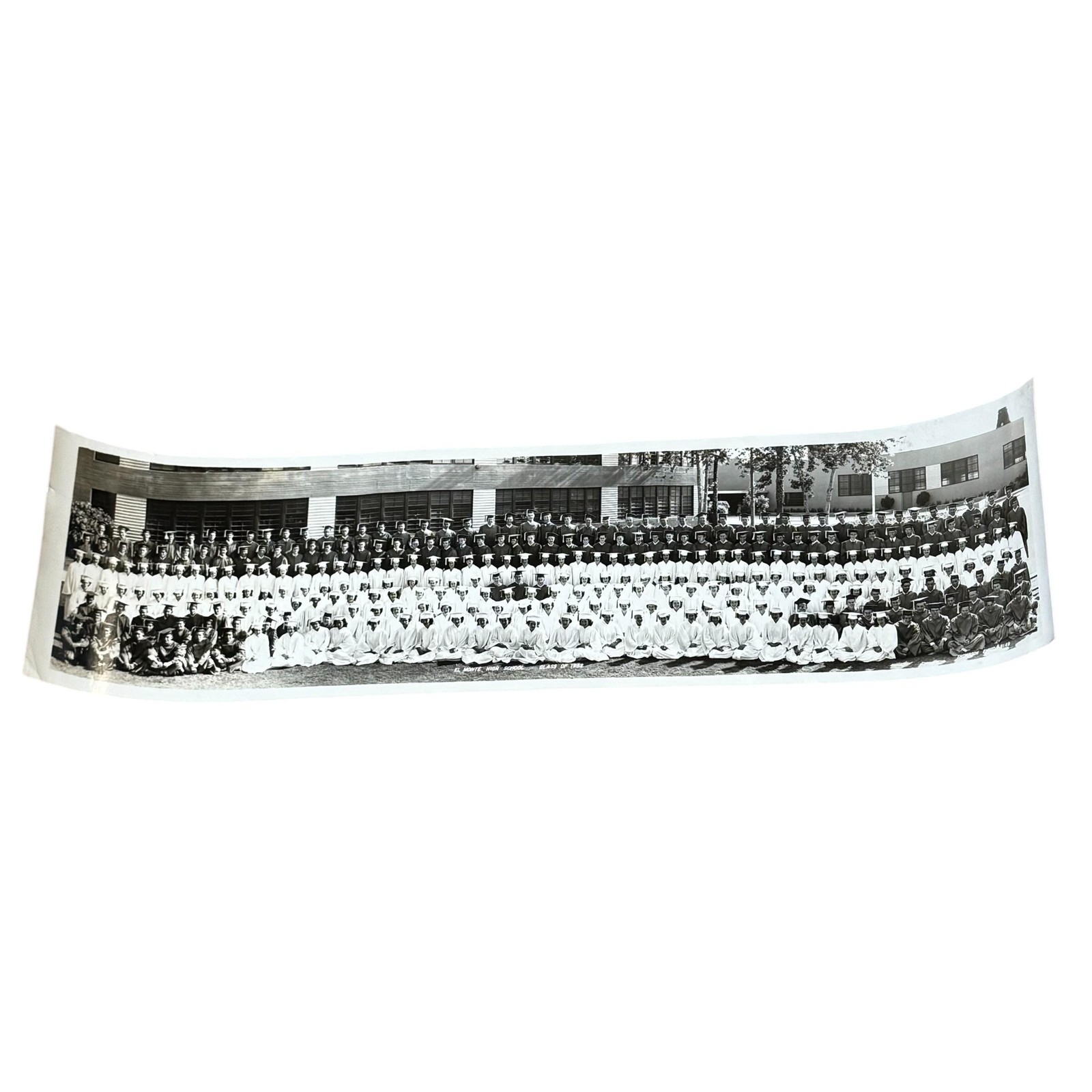 Vintage 1952 El Monte High School Panoramic Class Graduation Photo 8x30 B&W