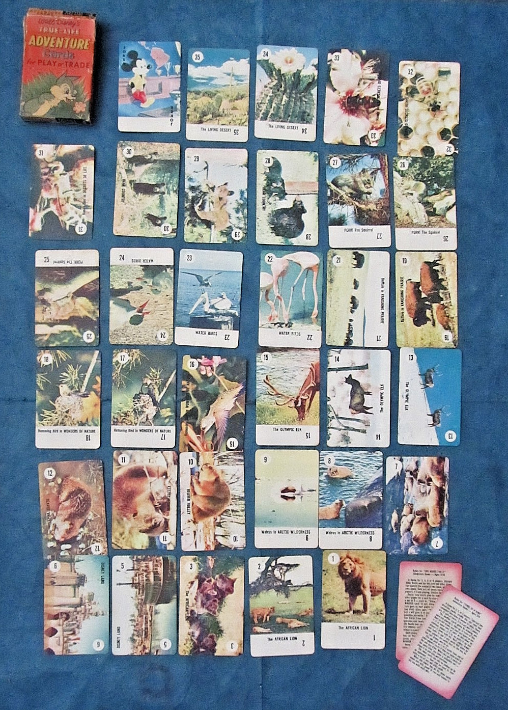 Vintage 1950's Walt Disney's True-Life Adventure cards for play or trade
