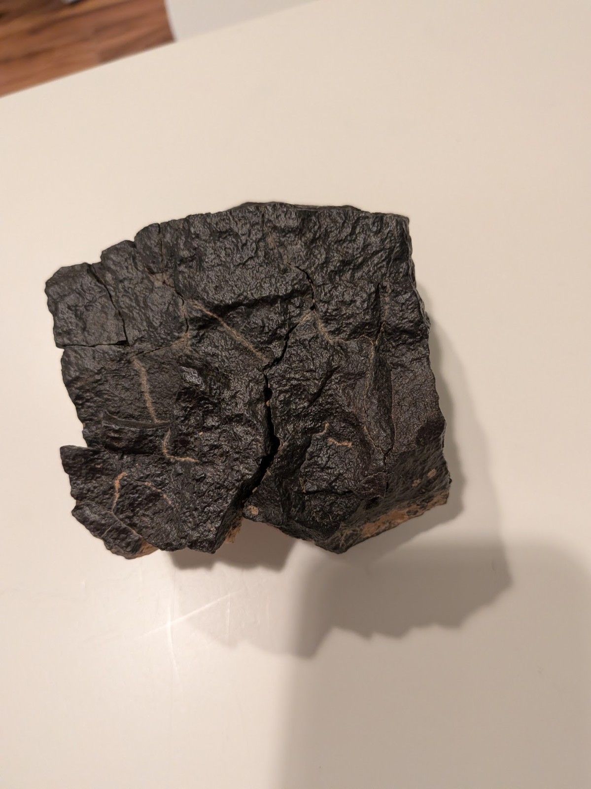 BIG authentic meteorite - NWA chondrite, beautiful fusion crust, 1181g / 2.6lbs