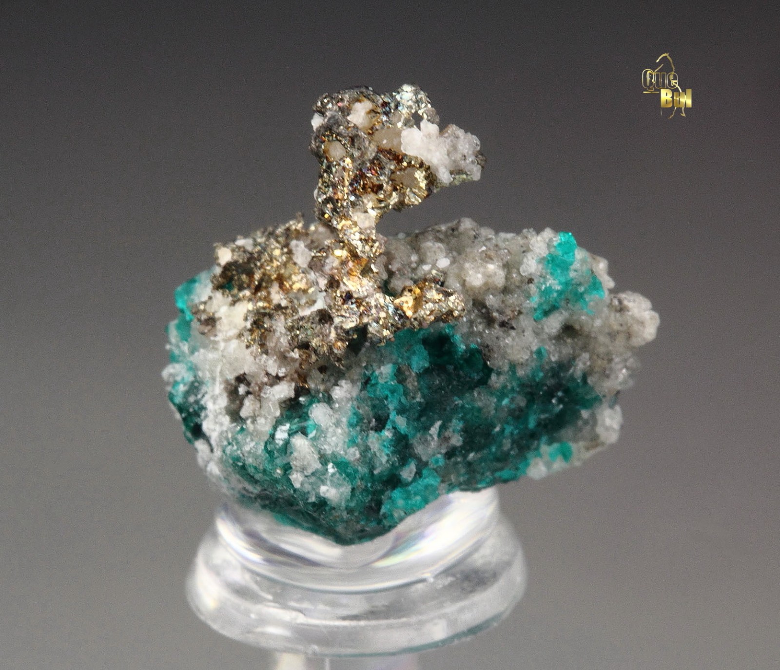 QUEBUL FINE MINERALS - SILVER, COPPER, DIOPTASE, QUARTZ - Mindouli, Congo