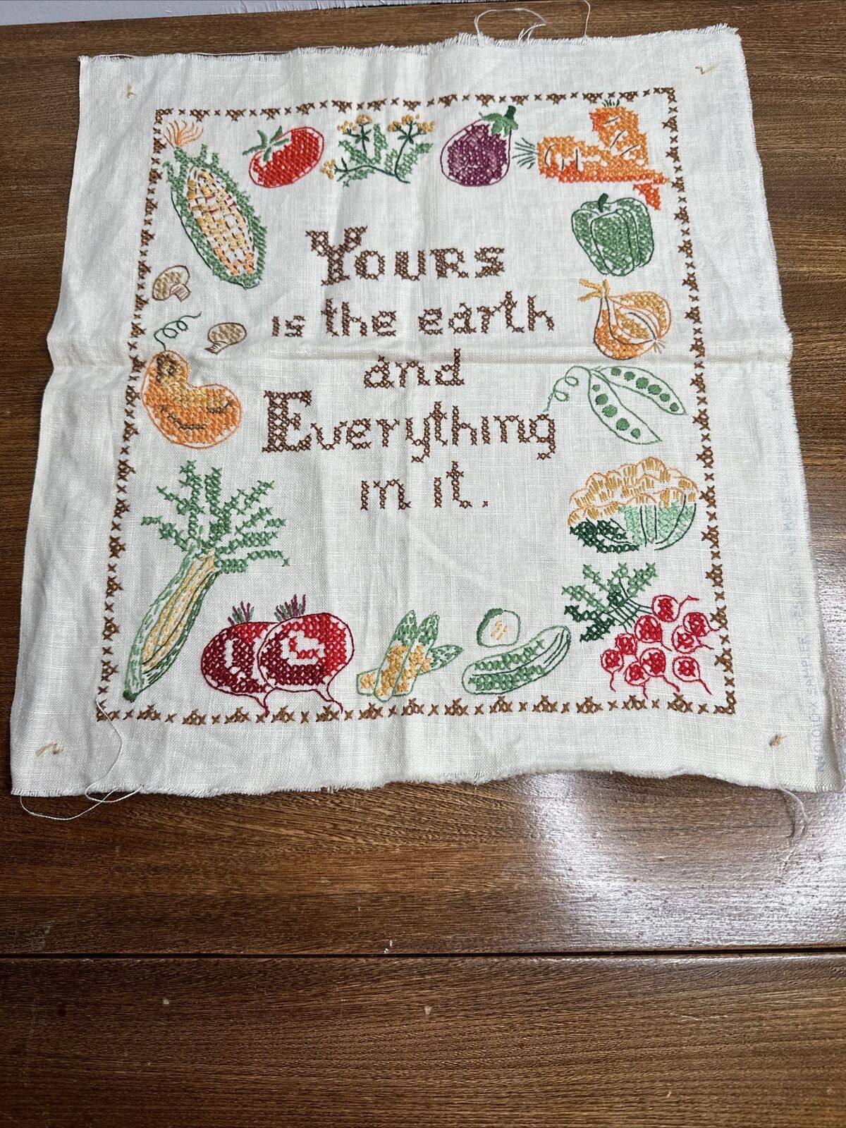 Vtg Needlepoint Sampler American Home Magazine Yours Is The Earth & Everything