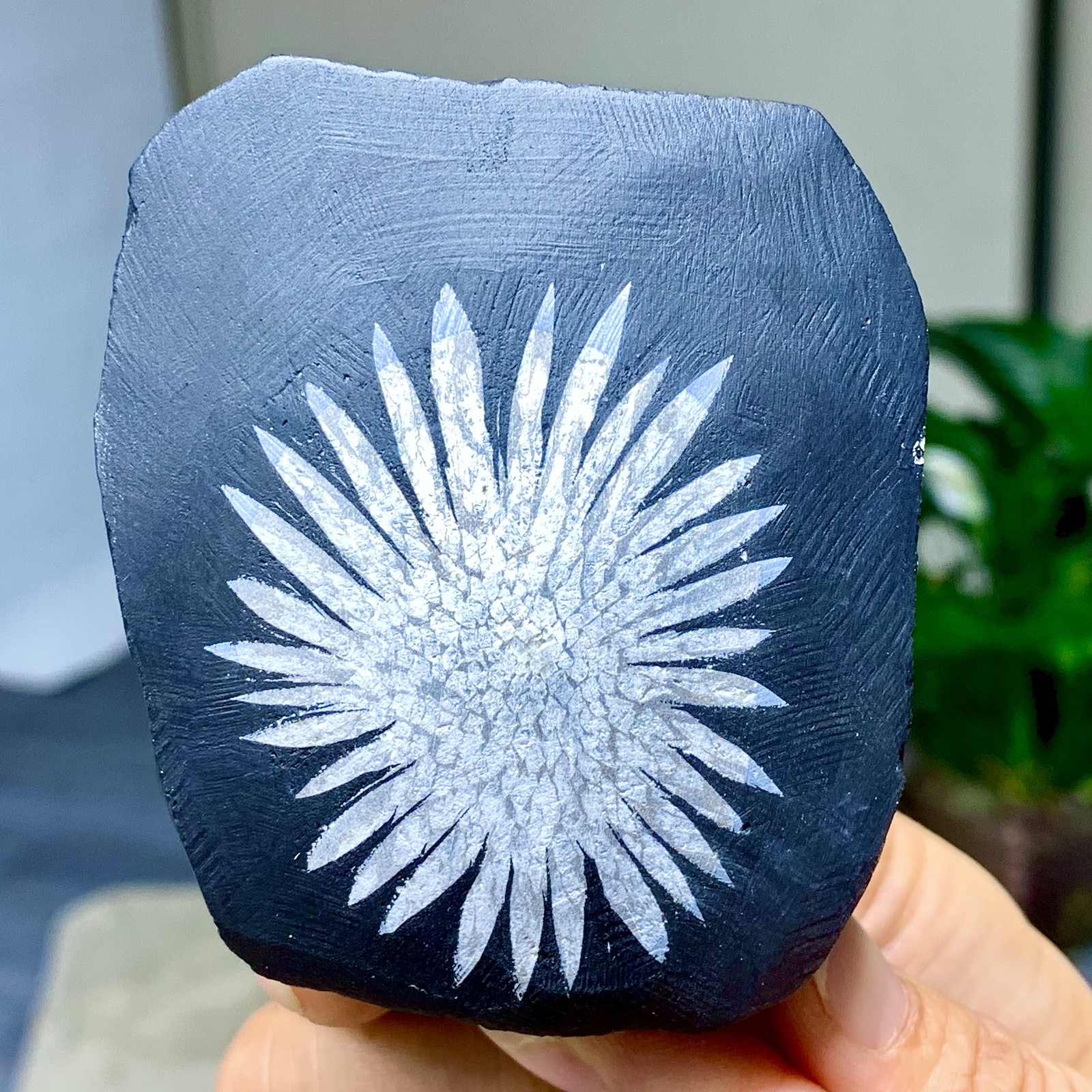 310G Natural chrysanthemum stone quartz carving aura healing gift