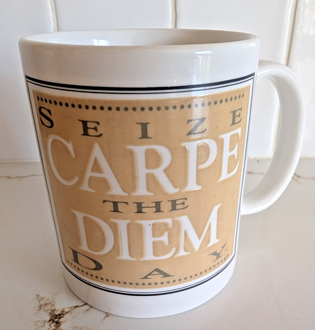Vintage Linyi China Carpe Diem Mug Seize the Day Coffee Cup 10 oz